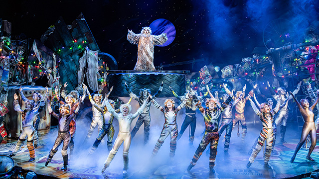 Cats The Musical