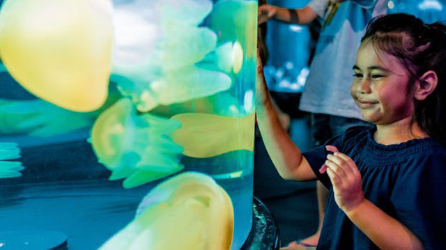 Attractions