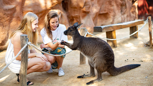Two females with a kangaroo