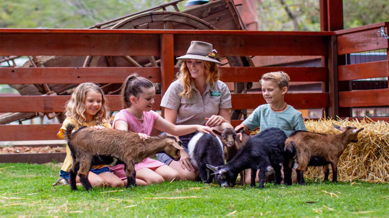 Currumbin Wildlife Sanctuary