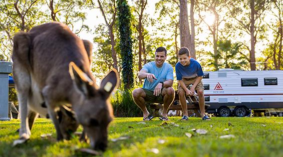 NRMA Darlington Beach Holiday Resort NSW