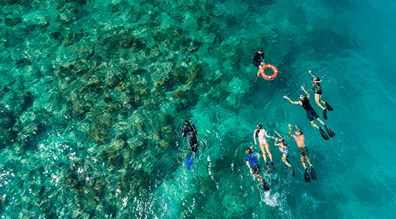 NRMA Cairns Holiday Park - image credit: Tourism and Events Queensland