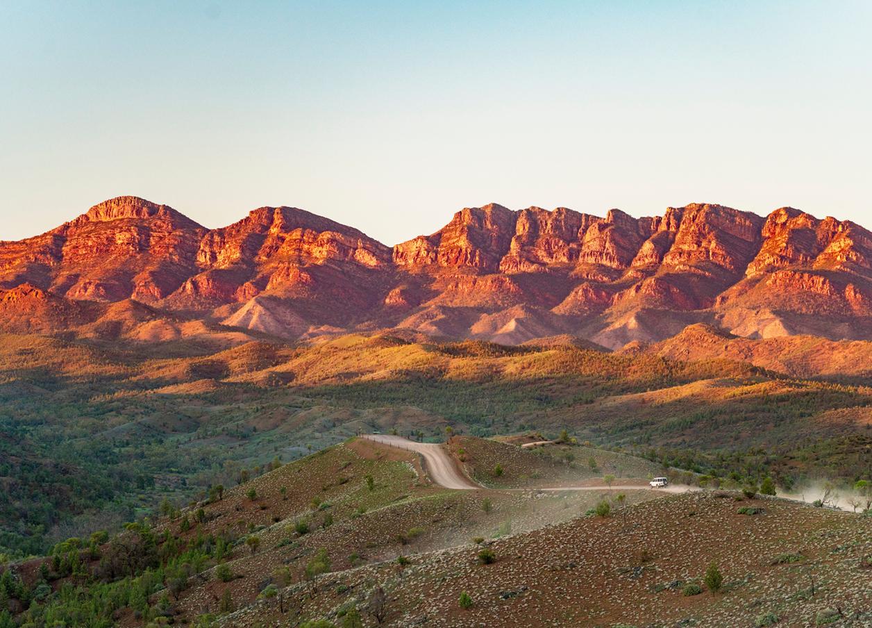 Travel insurance banner