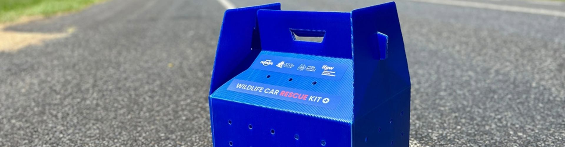 wildlife-car-rescue-kit-1920x500 A wildlife rescue kit sitting on a road, the kit is a square blue cardboard box.