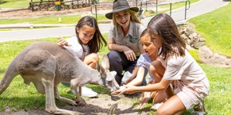 Currumbin Wildlife Sanctuary kangaroo patting