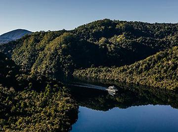 Gordon River Cruise including Buffet Lunch