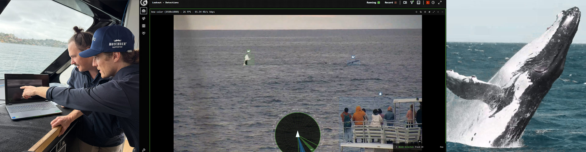Whales spotted, identified and labelled in Sydney Harbour by Greenroom Robotics’ Lookout+ onboard NRMA Marine’s Fantasea Avalon