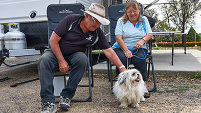 Pet friendly camping