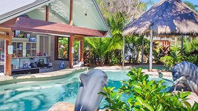 Pool Bar, Blue Dolphin Yamba