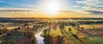 Dubbo in the sunshine
