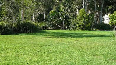 Myall Shores grass site