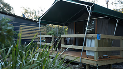 Myall Shores Safari Tent