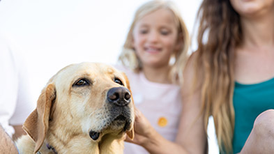 Pet friendly camping