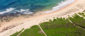 NRMA Toowoon Bay Holiday Park