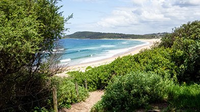 Beach at Toowoon Bay