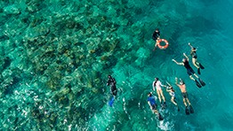 Snorkelling Cairns
