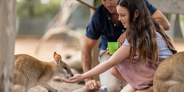 Featherdale Wildlife Park