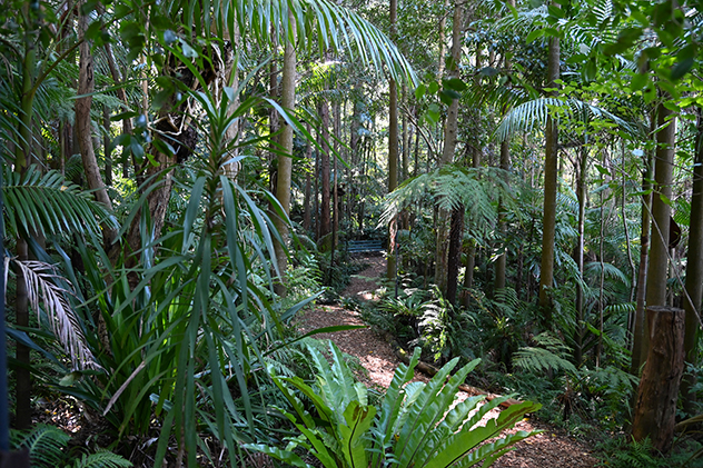 Sylvan Native Gardens