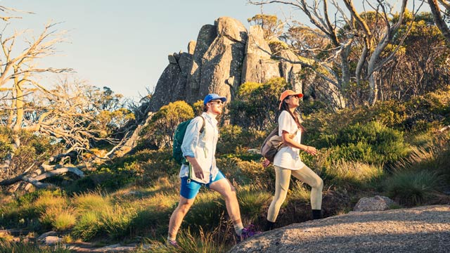 A couple hiking in a Snowy Mountains bush scene