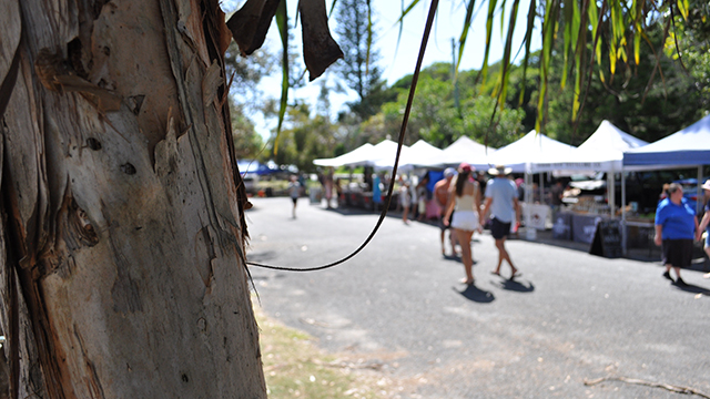 Yamba Farmers Markets