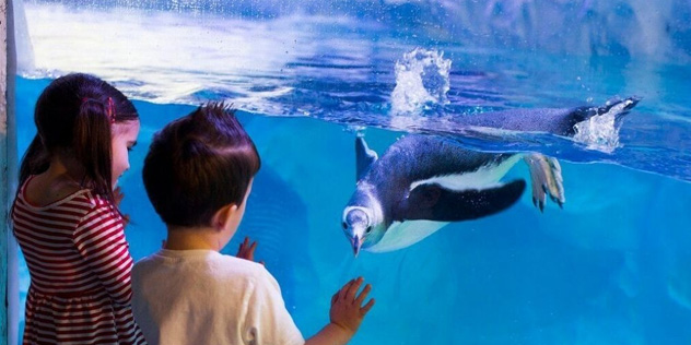 Sea life Sydney