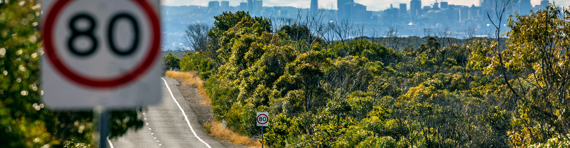 Empty road in forest, urban city skyline, 80km speed limit sign