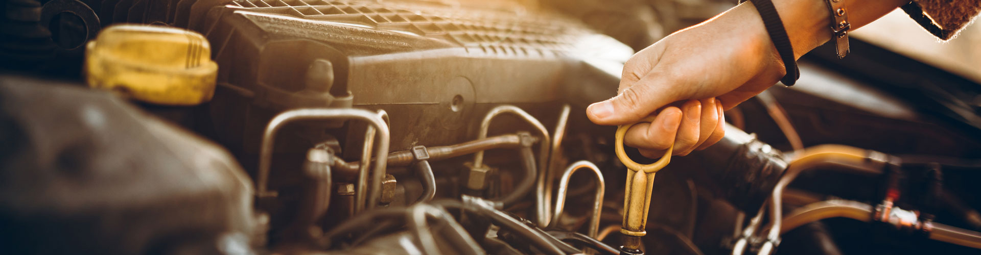 Arm checking oil in engine of a car
