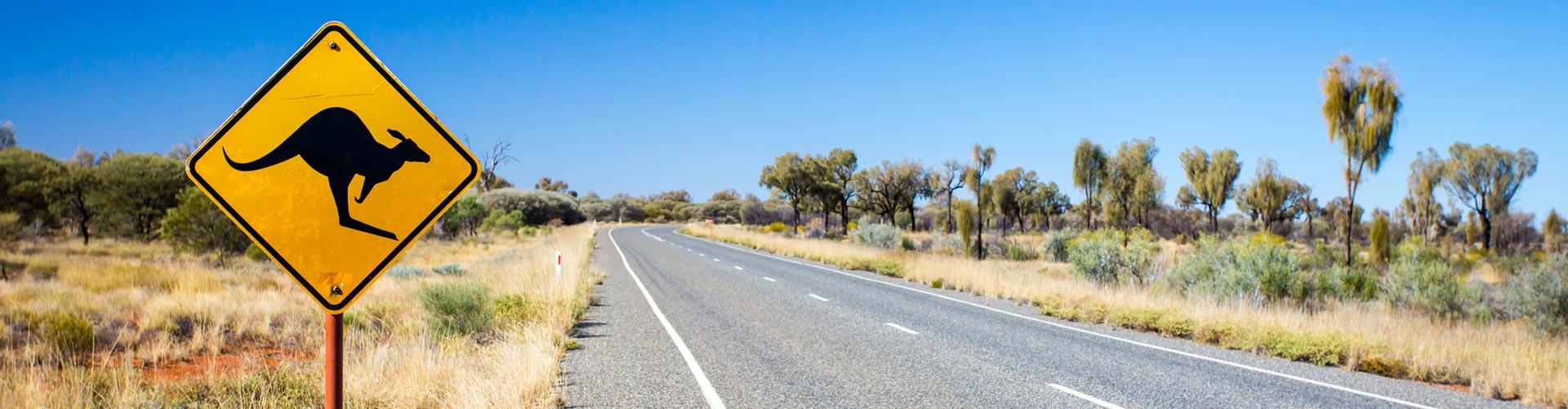 A kangaroo sign in the foreground with an outback road behind