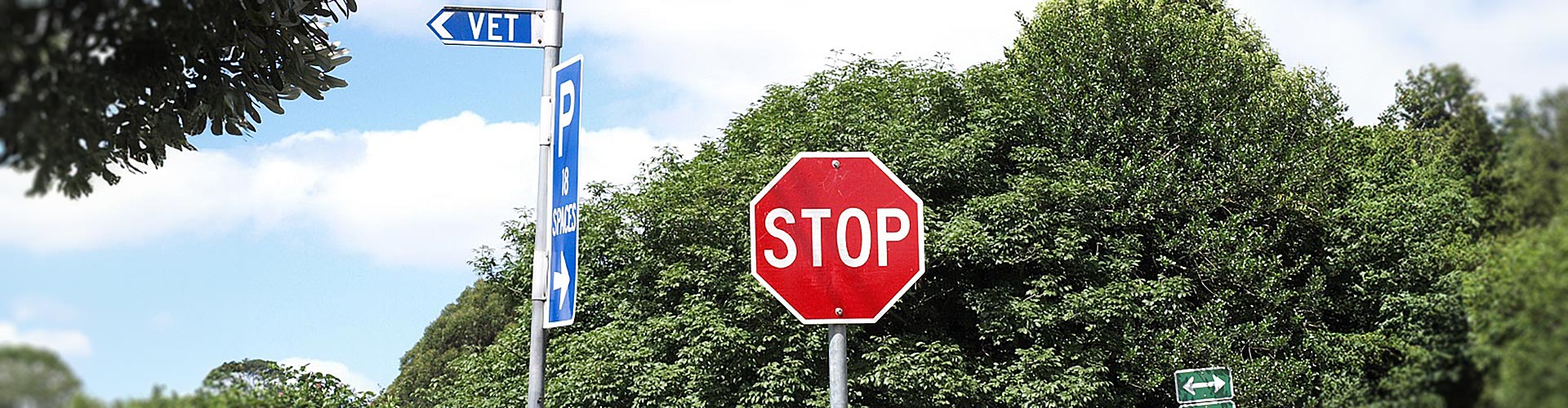 A stop sign in front of some trees on a sunny day