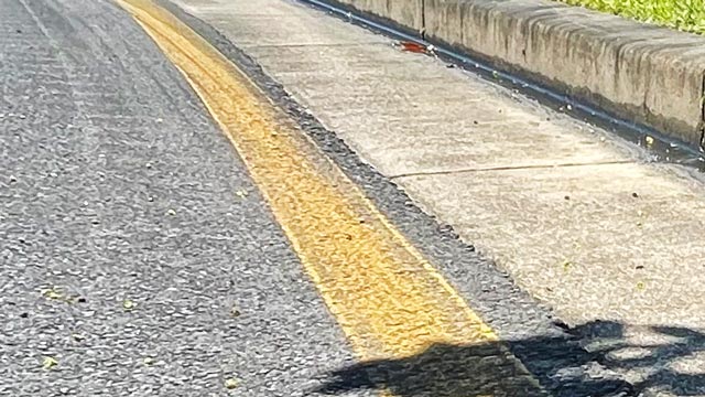 An unbroken yellow line on the side of a suburban road