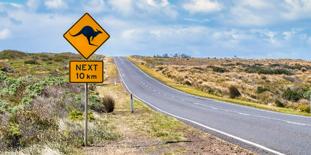 Animal crossing sign on a remote country road