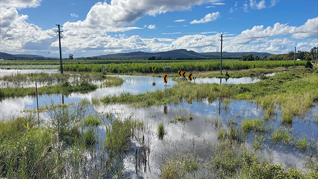 Flooded roads near Harwood after Ex-Tropical Cyclone Alfred, 2025.