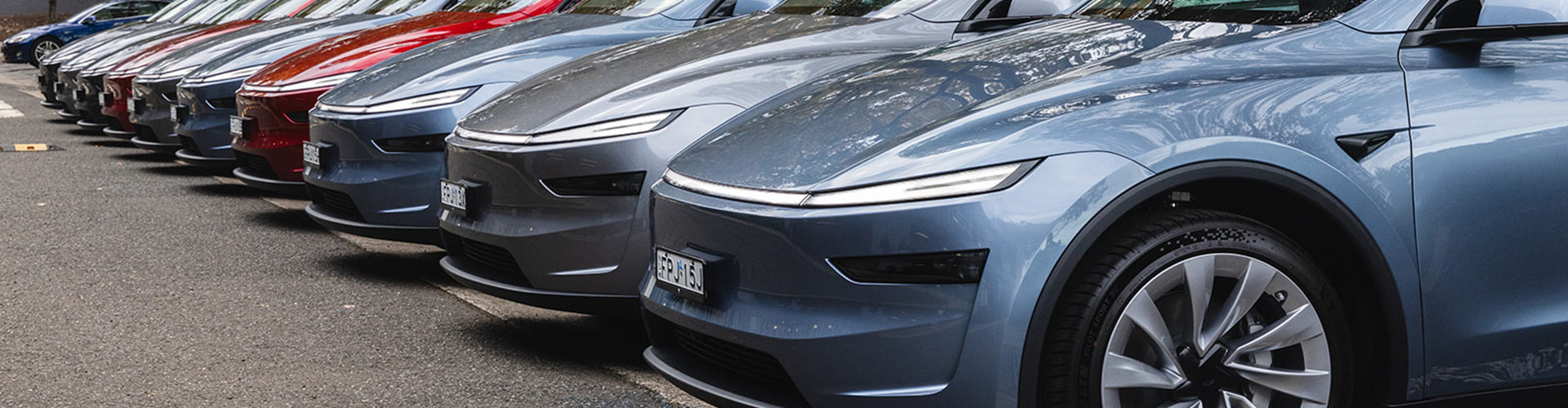 Row of Tesla cars