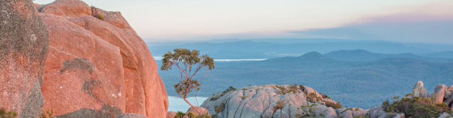 A Tasmanian landscape