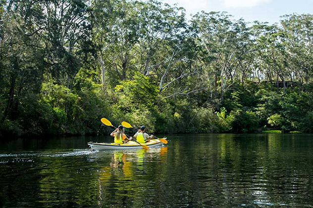 Kayaking in Lane Cove National Park