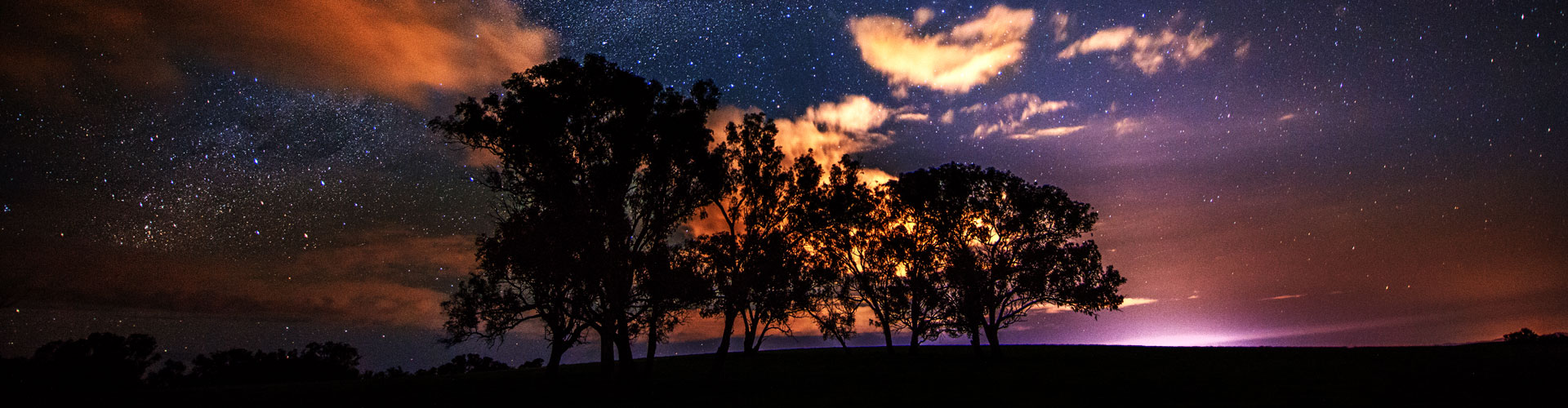 Tree under milky way from Blue mountains area in west of Sydney