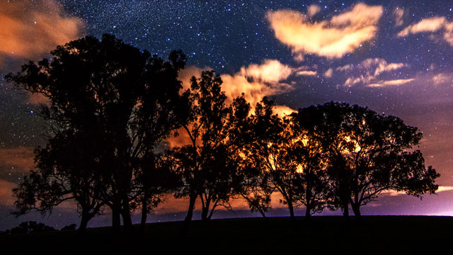 Tree under milky way from Blue mountains area in west of Sydney