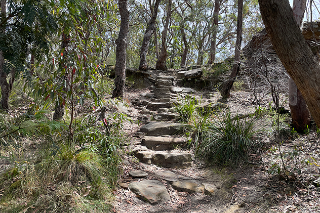 Steps leading down to Adelina Falls in the Blue Mountains.