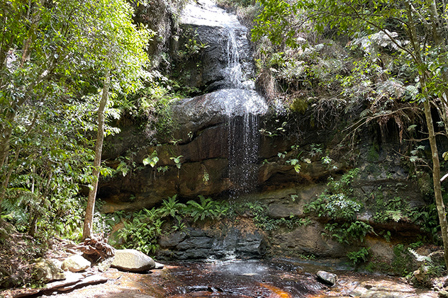 Adelina Falls in the Blue Mountains.