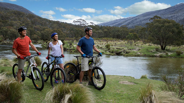 A group of mountain bike riders on a bush trail in the Snowy Mountains 