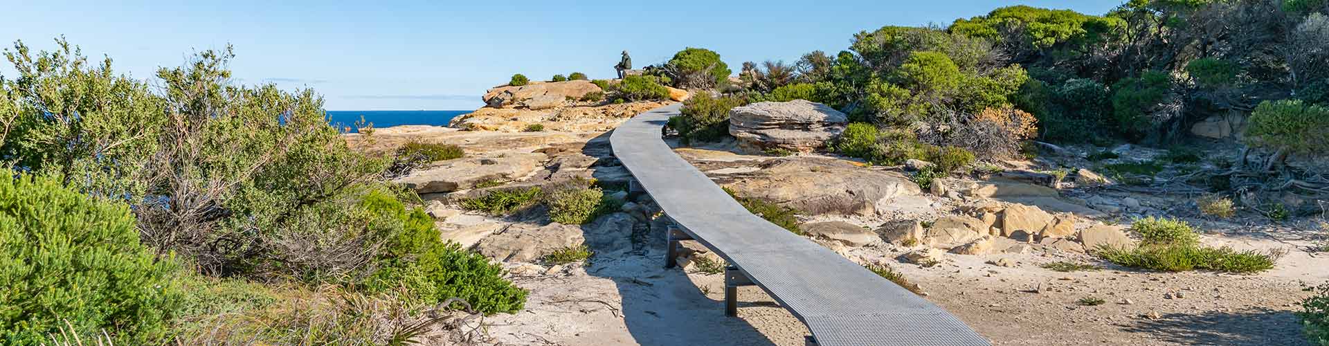 Foot track in Royal National Park
