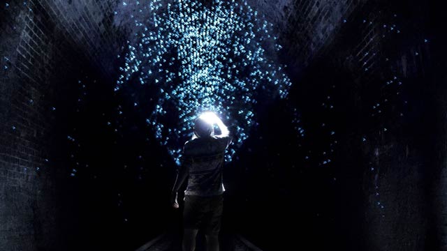 Glow worms in the old railway tunnel at Helensburgh, Illawarra