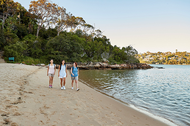 Sydney picnic
