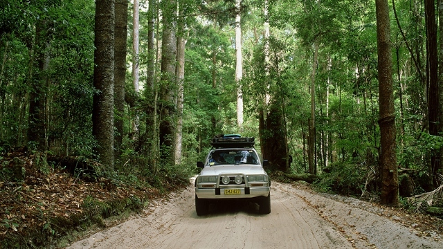 oncoming silver four-wheel drive vehicle driving through rainforest on a dirt road