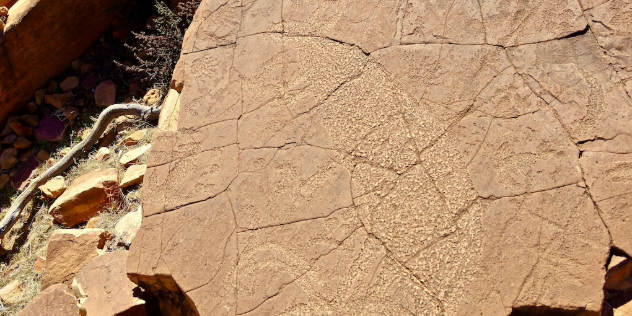  A faintly visible silhouettte of a wallaby carved into a flat, brown, sunlit rock..