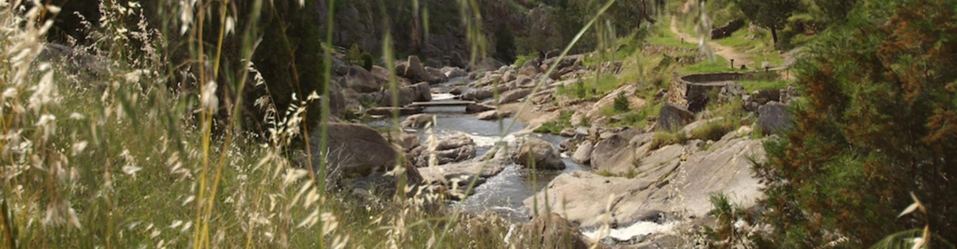 adelong-falls-gold-mill-ruins-river-nsw-1920x500 A sunlit, rocky creek bed surrounded by tall grassy hills, and trees.