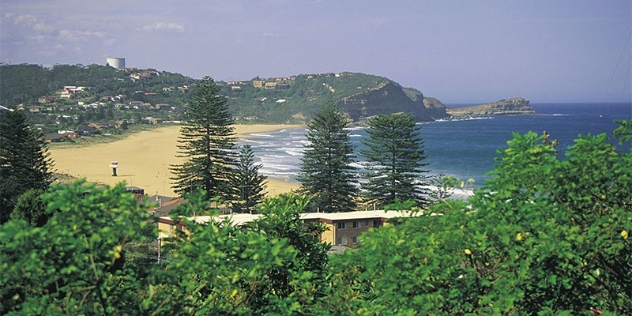 View of the beach and headland through trees