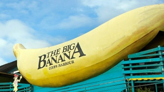 A giant yellow banana sculpture with the words The Big Banana, Coffs Harbour, written in black along the side, in front of a clubhouse and palm trees.