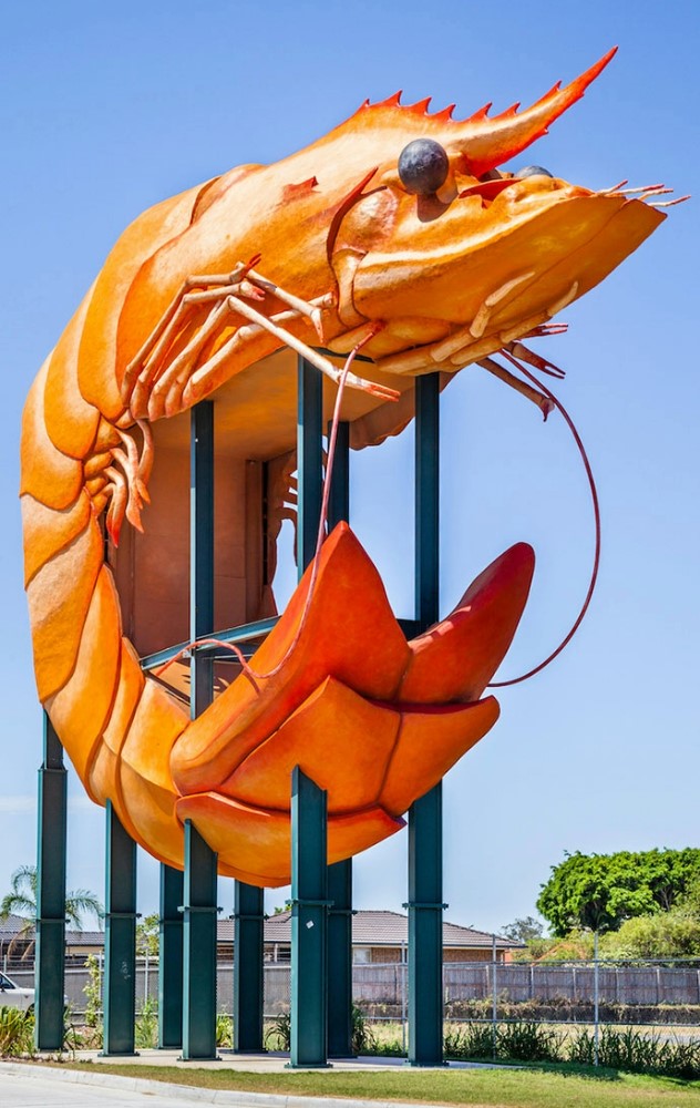 A twenty-seven metre tall, realistic looking sculpture of a orange, curled prawn, held up by several metal girders below, under blue sky. 