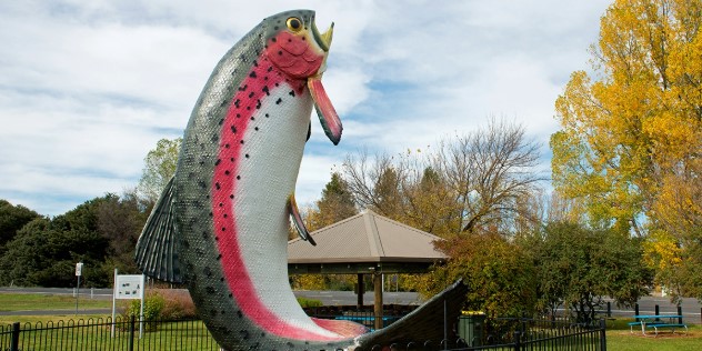 A ten metre tall sculpture of a trout fish jumps from a brick base, surrounded by short black metal fence in a park.